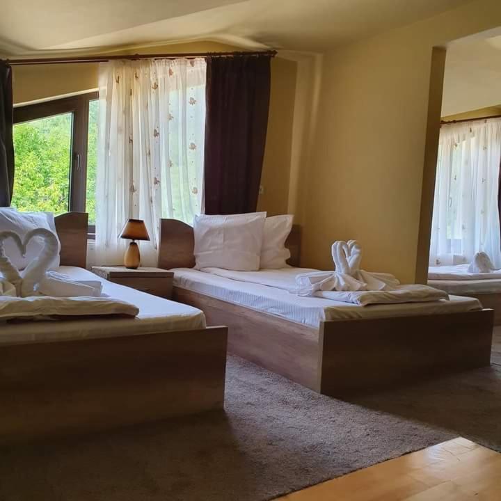 Pensiunea Mirela Pestera Ursilor Chiscau Exterior foto