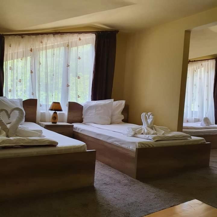 Pensiunea Mirela Pestera Ursilor Chiscau Exterior foto